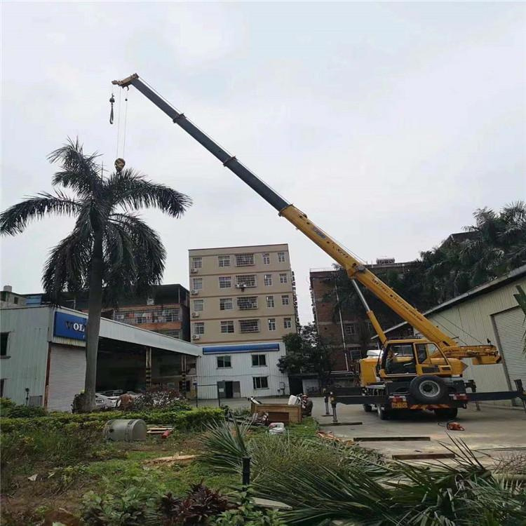 大名县汽车吊出租多少钱？全面解析与市场行情